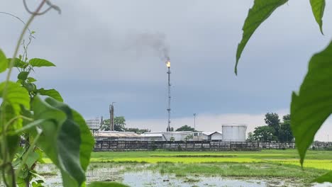 kailashtilla gas flare burning natural gas from oil extraction, pull focus stack