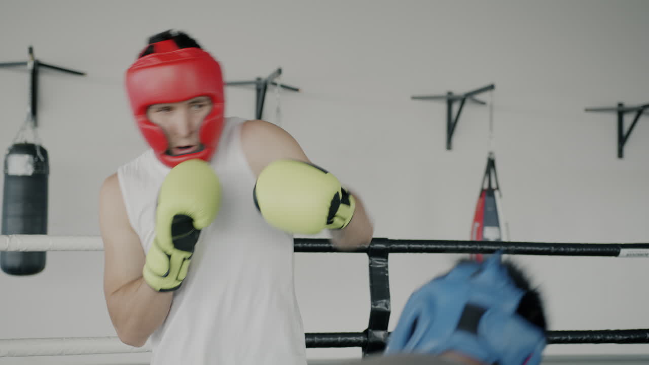 권투 훈련 세션