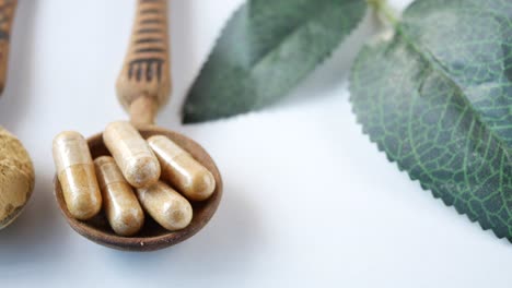 herbal supplements: capsules and powder in wooden spoons