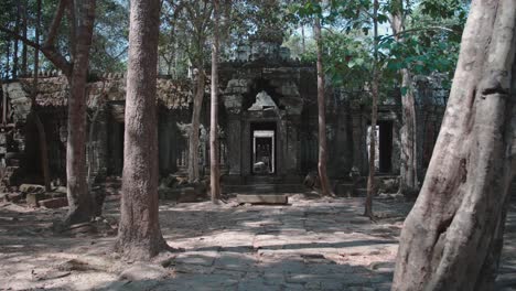 ancient temple ruins of angkor wat surrounded by a forest in daylight