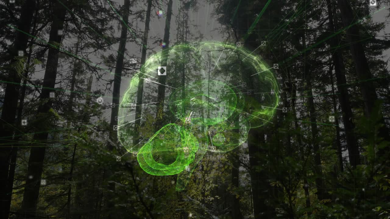 Luz difusa iniciando cérebro 3D neon que desaparece e gira, visualizando nós e conexões sobre uma floresta.
