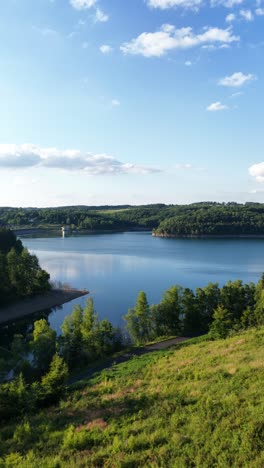 lake surrounded by trees in the german eifel region, vertical drone video. nature