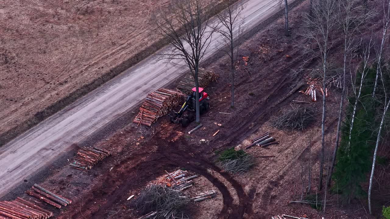 Operazione di disboscamento con abbattimento di alberi e raccolta di legname in terreno forestale, abbattitrice parcheggiata accanto a un mucchio di tronchi.