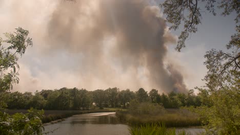 incendio de pantano de cinco millas en el condado de santa rosa desde mayo de 2020