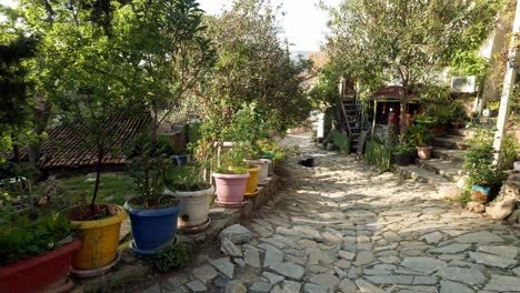 Colourful-plant-pots-decorate-stone-walls-on-rustic-cobbled-village-lane