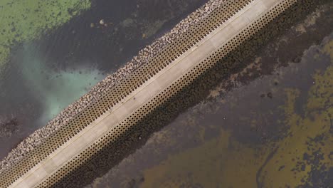 drone top down rotating view above people walking on causeway path between rocky ocean water