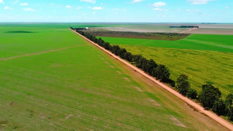 Vista-Aérea-De-Granjas-Y-Plantaciones-De-Soja-A-Gran-Escala-Con-Una-Carretera-En-El-Norte-De-Brasil