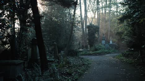 Hazy-path-in-the-gothic-cemetery