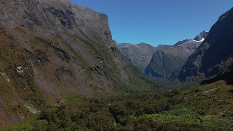 Ascending-aerial-view-of-dense-forest-vegetation-in-mountain-valley