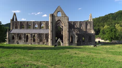 tintern abbey, monmouthshire, wales