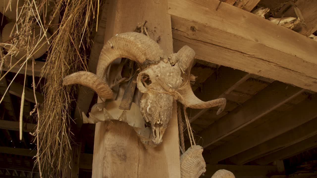 espeluznante cráneo de carnero en poste de granero