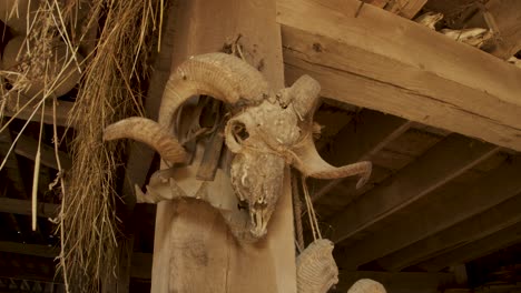 Spooky-ram-skull-on-barn-post