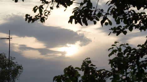 Cloudy-evening-sky-among-the-trees