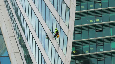 professional window cleaners at work.