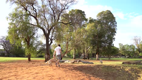 hombre caminando y jugando con dos perros