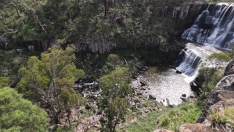 cascading waterfall amidst vibrant greenery