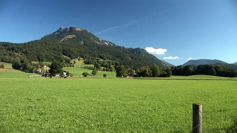 grassland and beautiful mountain panorama of the bavarian alps, germany