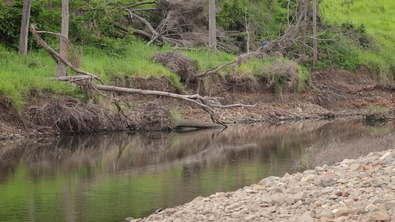 Erosi yang disebabkan oleh hujan dan banjir di sepanjang Sungai Coomera di Oxenford, Gold Coast, Australia