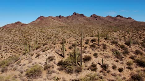 4k aerial shot of arizona mountains with cactus