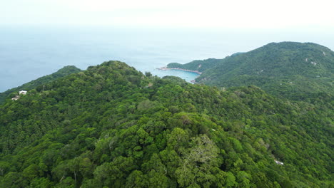 Mango-Bay-in-Koh-Tao-surrounded-by-coral-reefs,-lush-green-hills,-Thailand,-Aerial-View