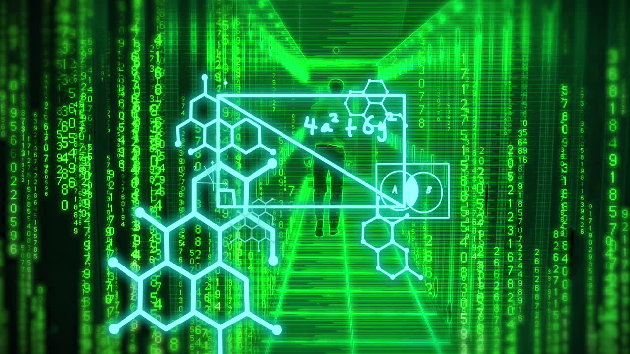 이진 코딩의 애니메이션, 컴퓨터 서버로 인간에 대한 수학적 데이터 처리