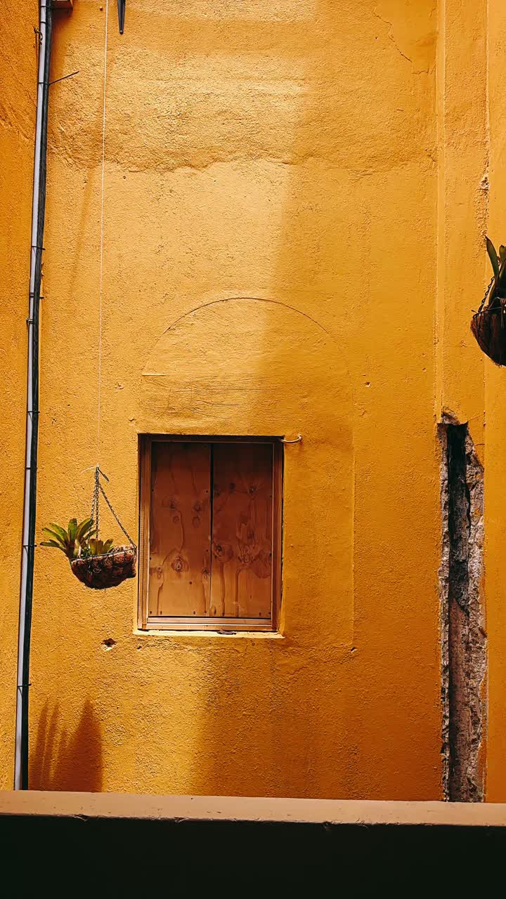 Exterior de Edificio Amarillo con Ventana y Plantas