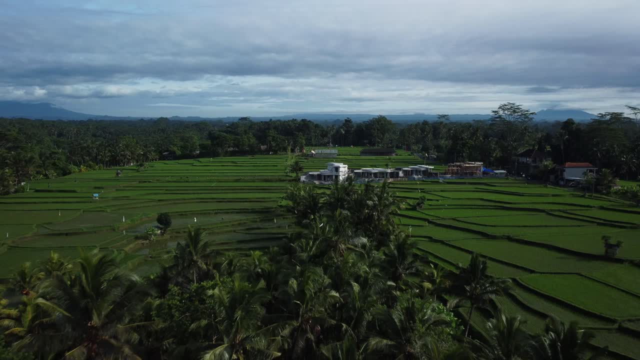 noche que desciende sobre las tierras de cultivo de arroz en terrazas, ubud, bali, indonesia