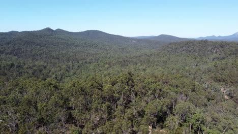 Volando-Sobre-El-Bosque-Salvaje-En-Australia