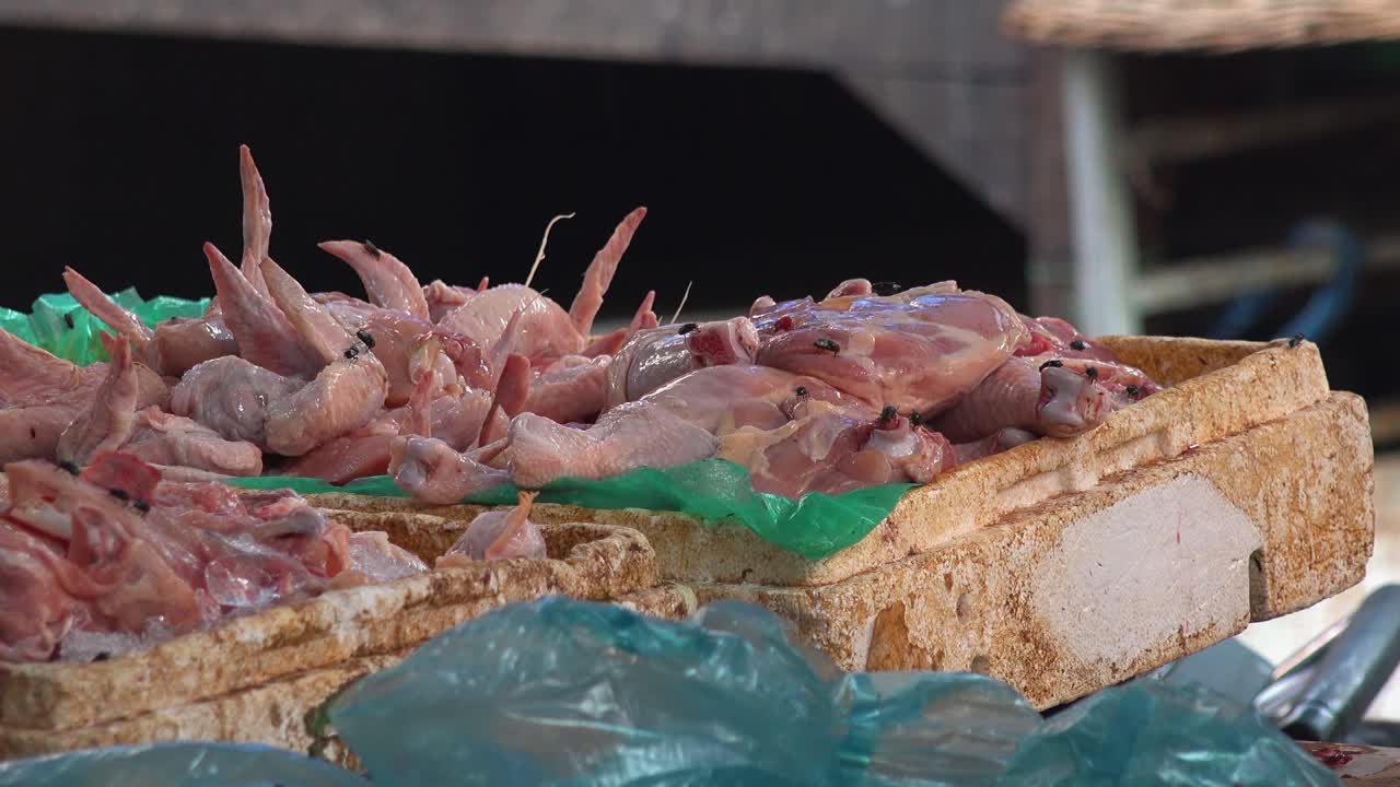 Close Zoom Out Shot of Raw Chicken in a Box on the Road Side with Flies Buzzing Around