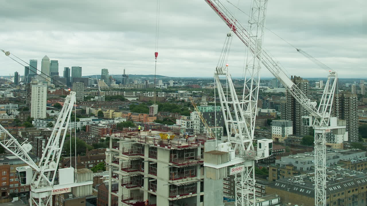 grullas de londres 02