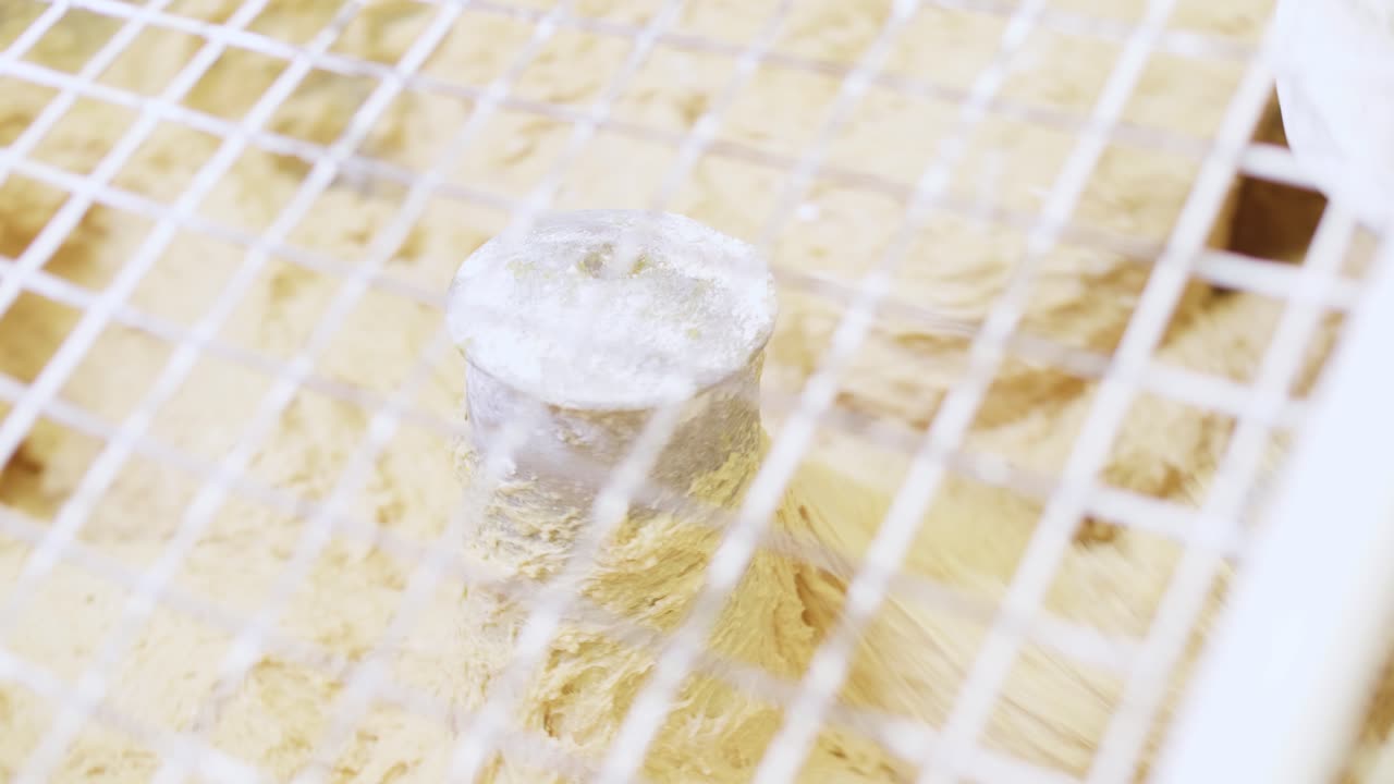 Bread Mixer In Bakery Modern Factory. Close Up View. Follow Shot