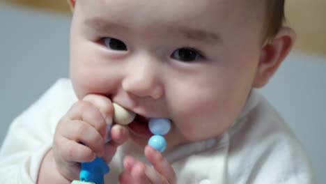 beautiful little baby is eating a toy