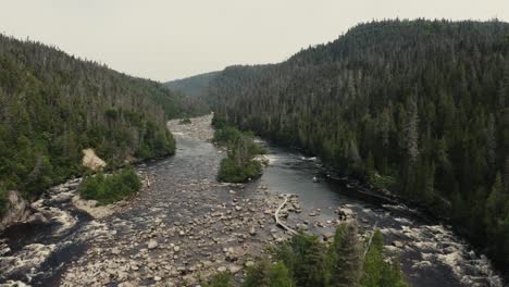 vista aérea de un río sereno que fluye a través de un bosque verde exuberante