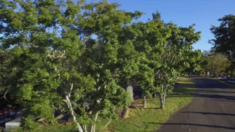 aerial drone tracking and rising shot moving sideways past graves as it rises to reveal a huge suburban cemetery