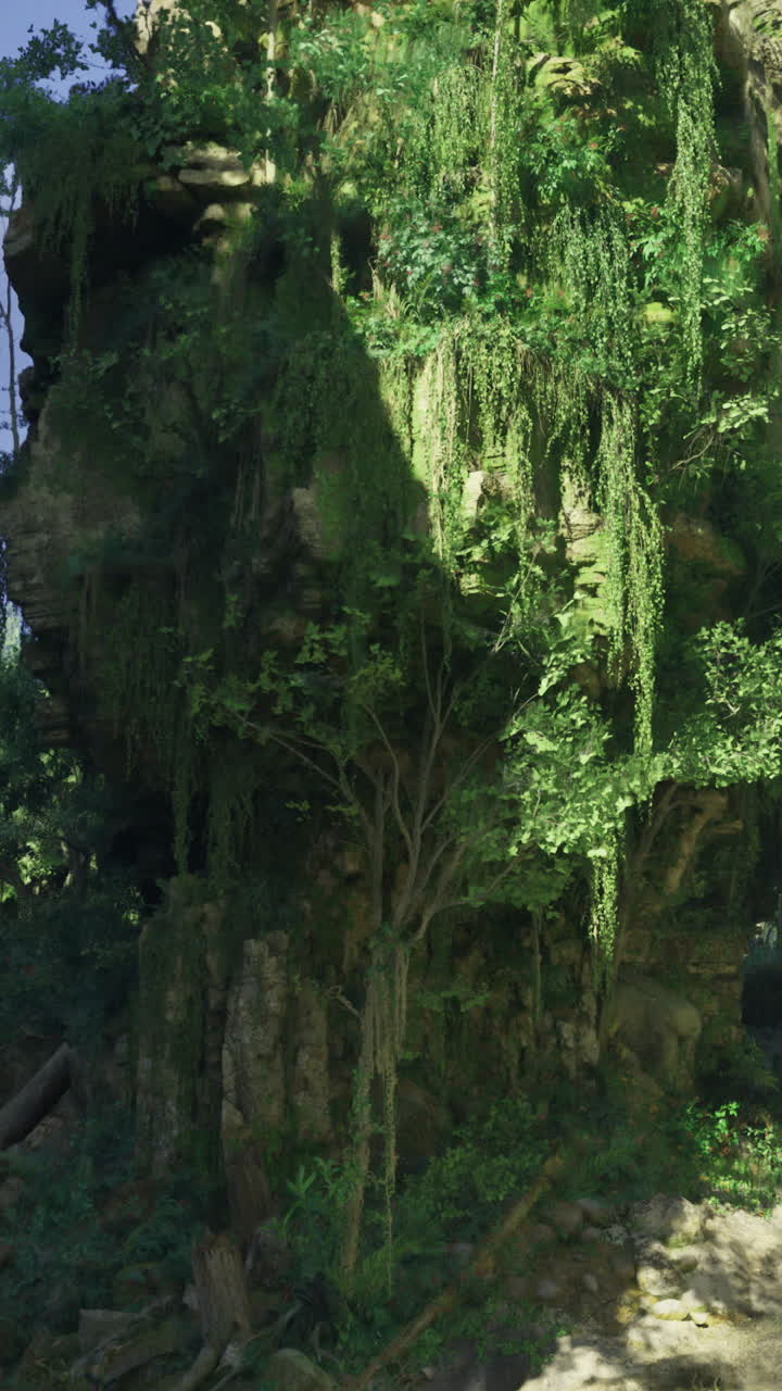 Mysterious rock formations amidst lush greenery in a serene natural setting