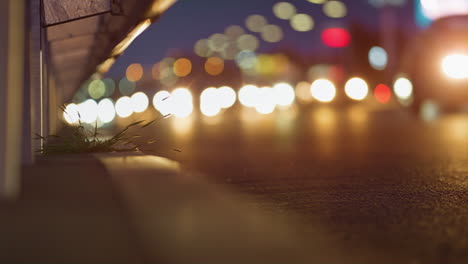 green plant breaking thought asphalt pavement at night highway. force of nature