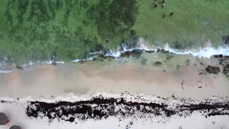 aerial view of cozumel beaches mexico