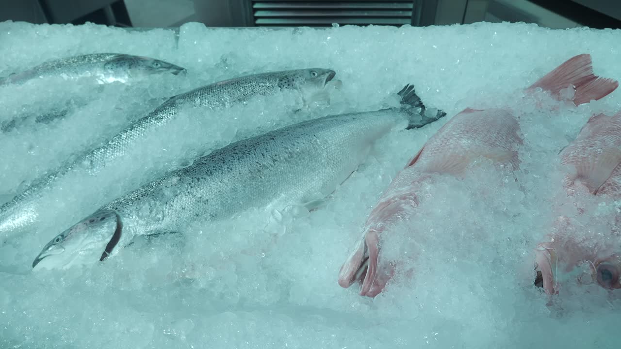 얼음 위의 신선한 생선