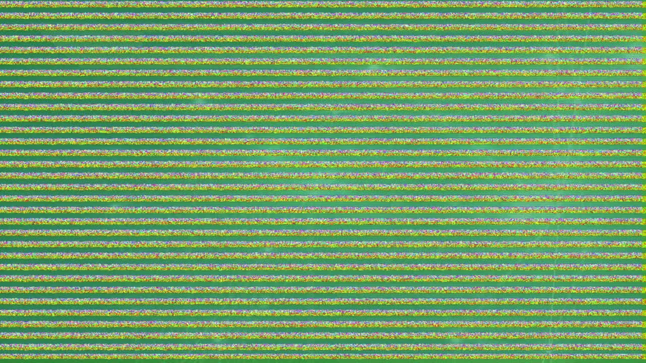 Animation of network of connections over interference