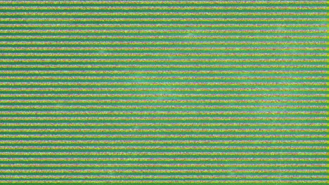 animación de la red de conexiones a través de interferencias