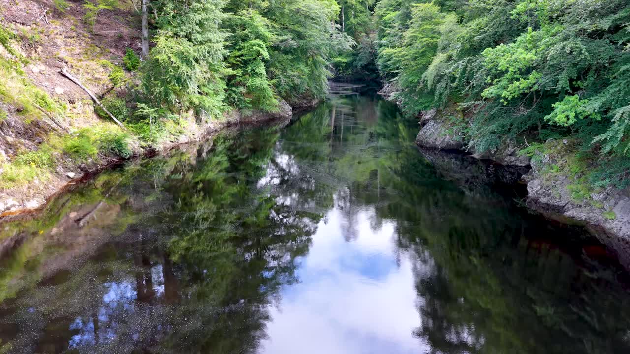 Drone camera smoothly glides above calm river, lush green forest, and reflective water surface