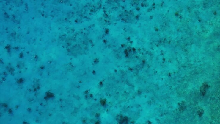 Clear Caribbean sea ocean water, sunny day with light rays and coral, aerial top down static