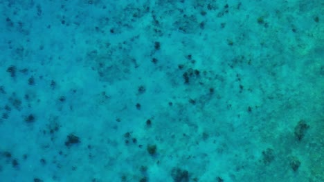 Clear-Caribbean-sea-ocean-water,-sunny-day-with-light-rays-and-coral,-aerial-top-down-static