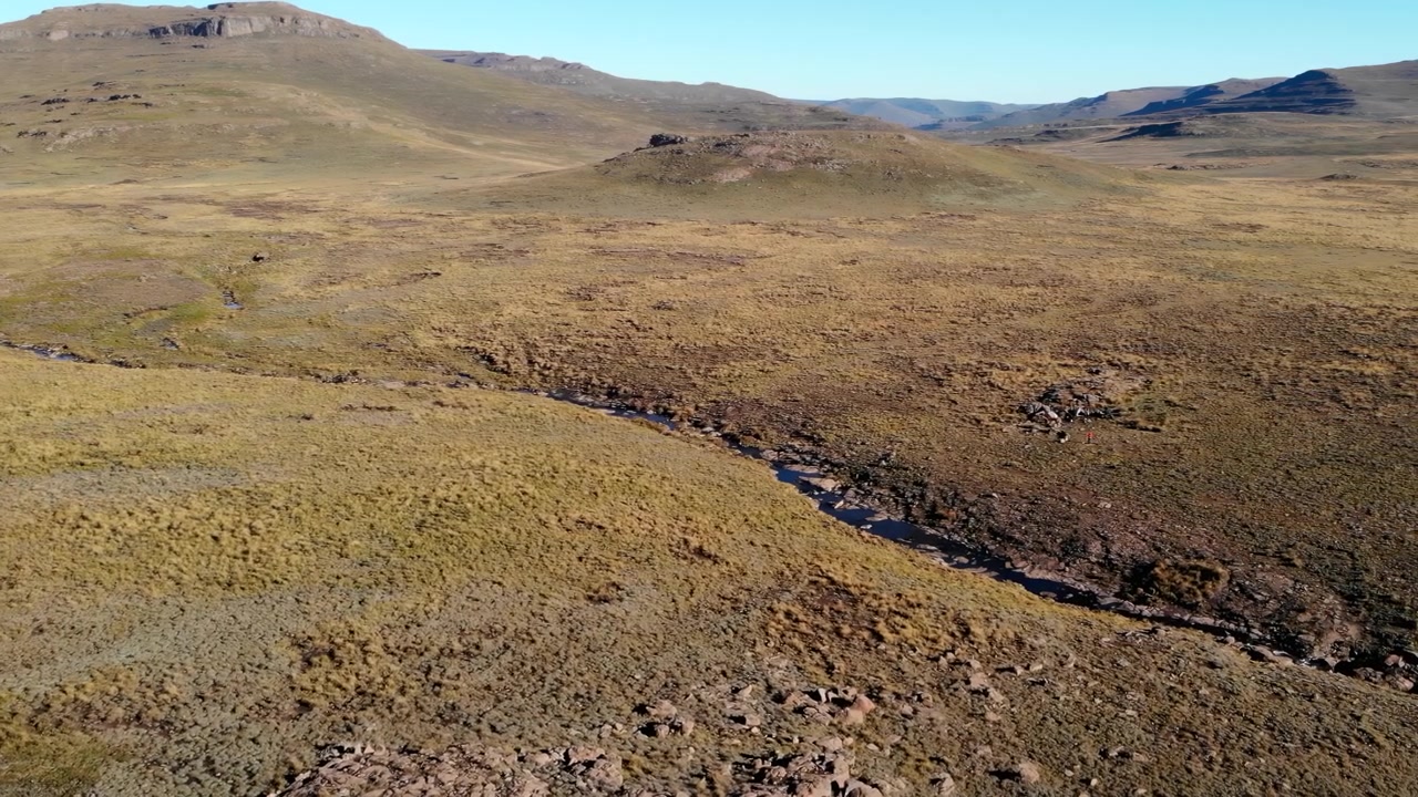 Vista aerea con drone di ruscello serpeggiante in brughiera dorata, colline ondulate sotto un cielo azzurro limpido, vegetazione rada