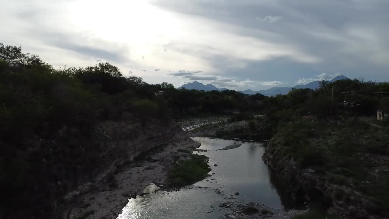 río con árboles enormes
