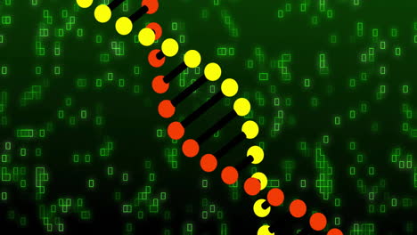 processing scientific data, animation of dna strand and binary coding