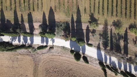 Bonita-Vista-Aérea-Superior-Vuelo-Toscana-Ciprés-Callejón-Camino-Mediterráneo-Italia-Otoño-23