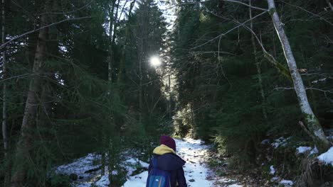 Sunlight-coming-through-alpine-trees,-female-walking-in-frame-following-the-pathway,-snowy-winter-landscape,-Vosges-France