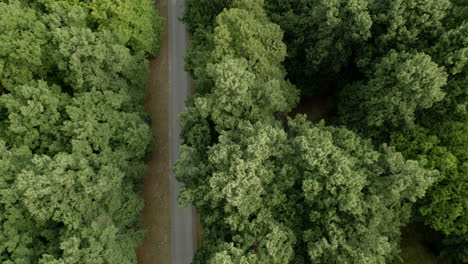 Vista-Aérea-De-La-Carretera-Que-Pasa-A-Través-De-Un-Denso-Bosque-Verde-En-Varsovia,-Polonia