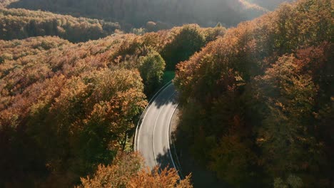 beautiful aerial zoom out footage of cars driving on a scenic road winding in an autumn coloured forest